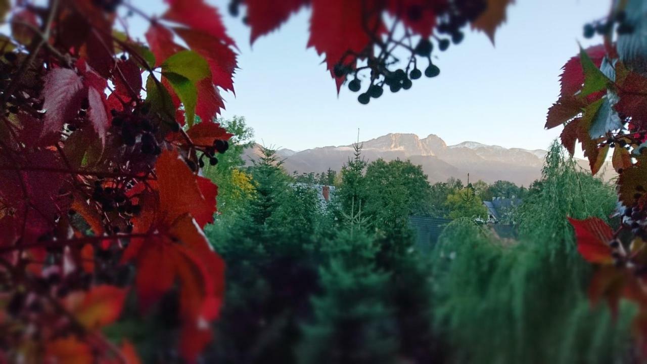 Mountain View Apartment Zakopane Exteriér fotografie